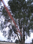 SX24093 Wouko balancing on slackline.jpg